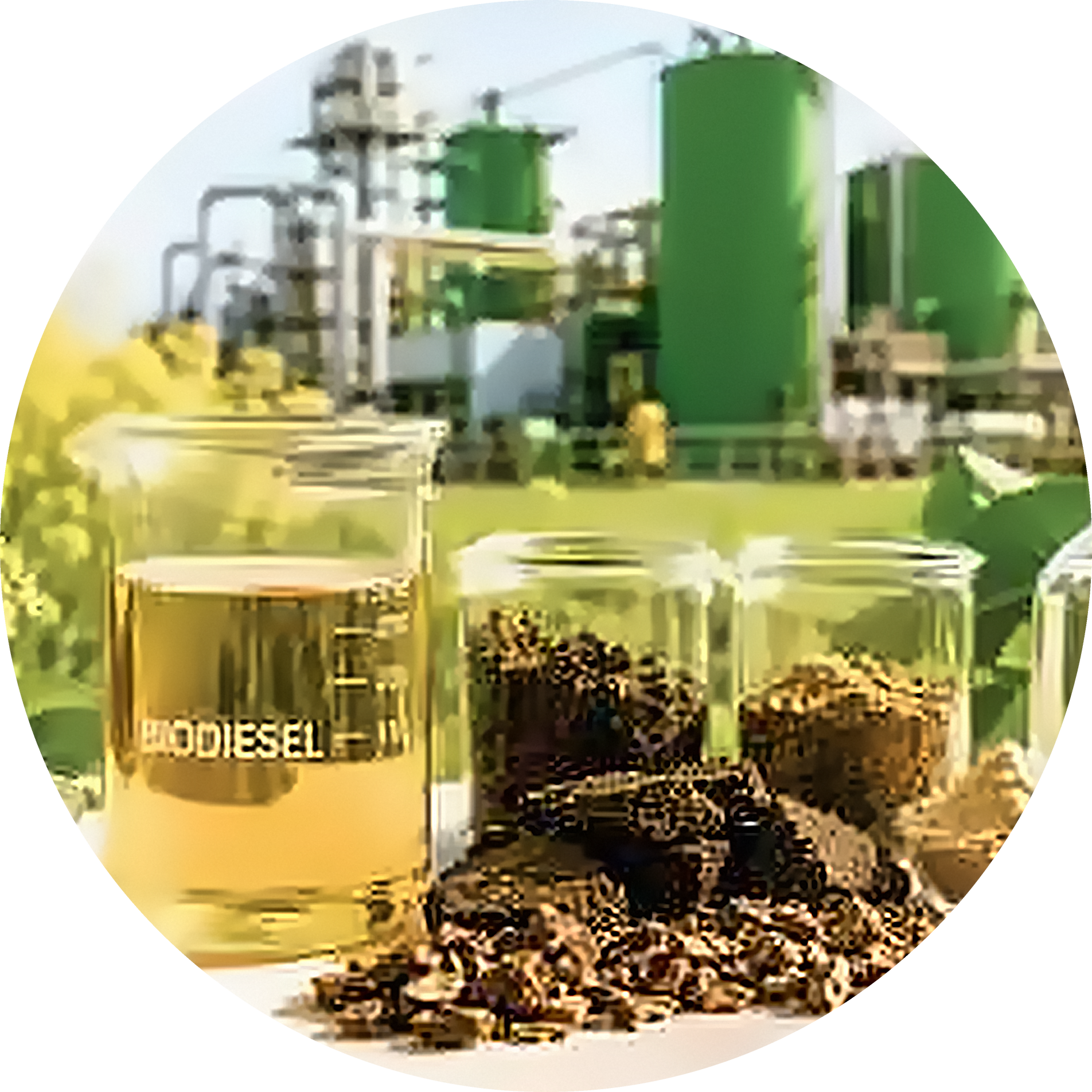 Biofuels and green products