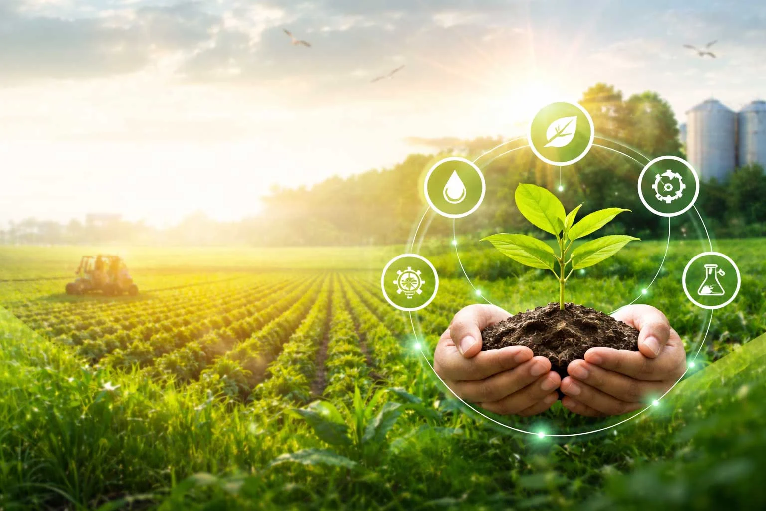 BN Agrochem Limited